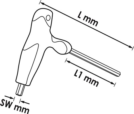 V2497
