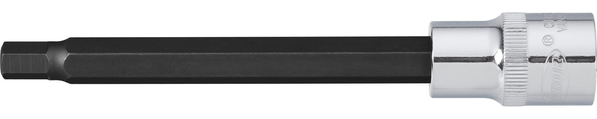 V2081