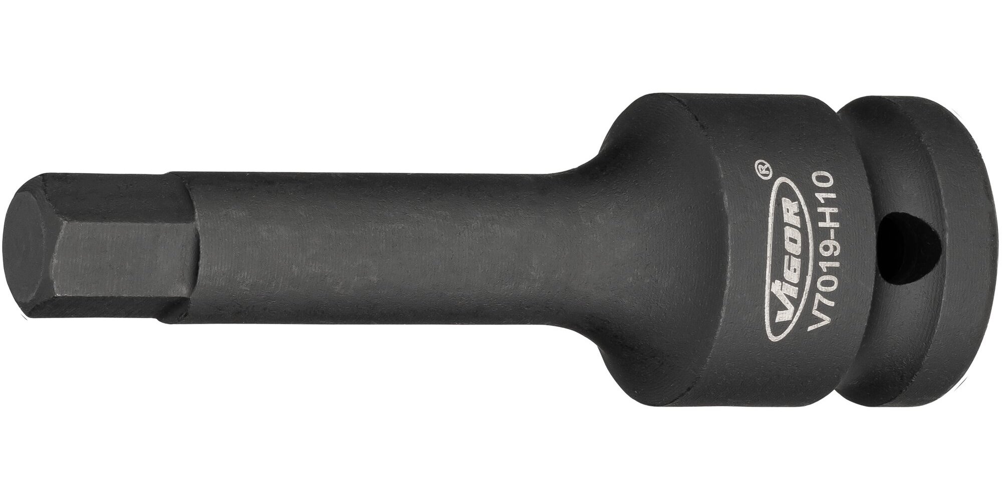 V7019