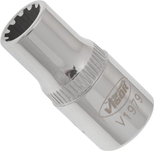 V1979