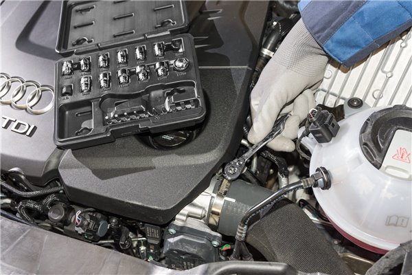 V5202