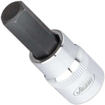 V6019