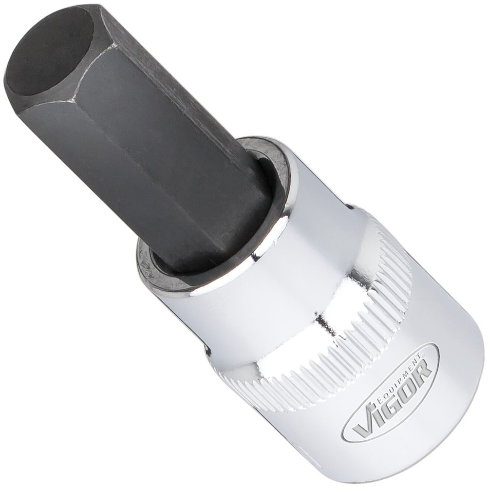 V6019