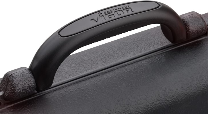 V2461N