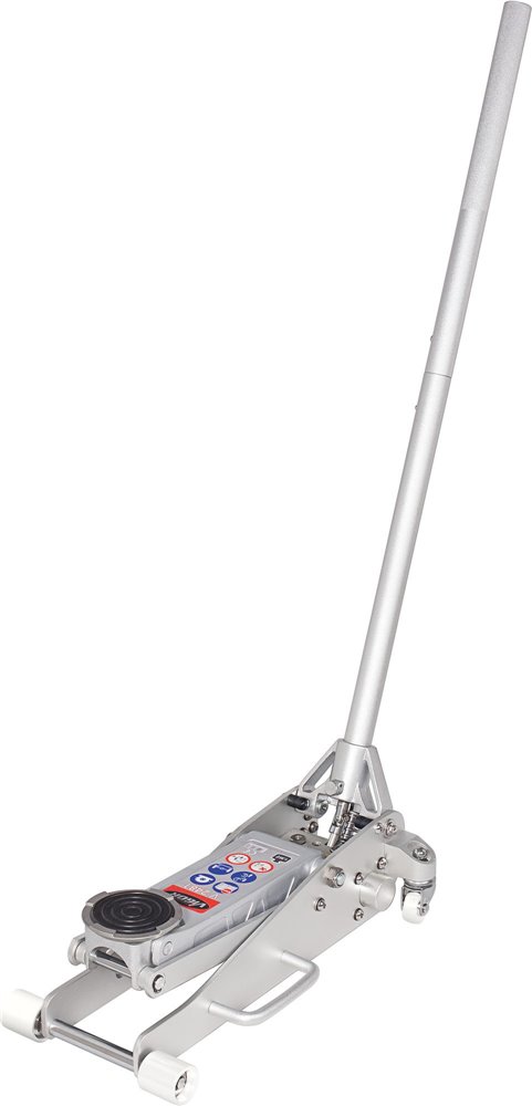 V2481