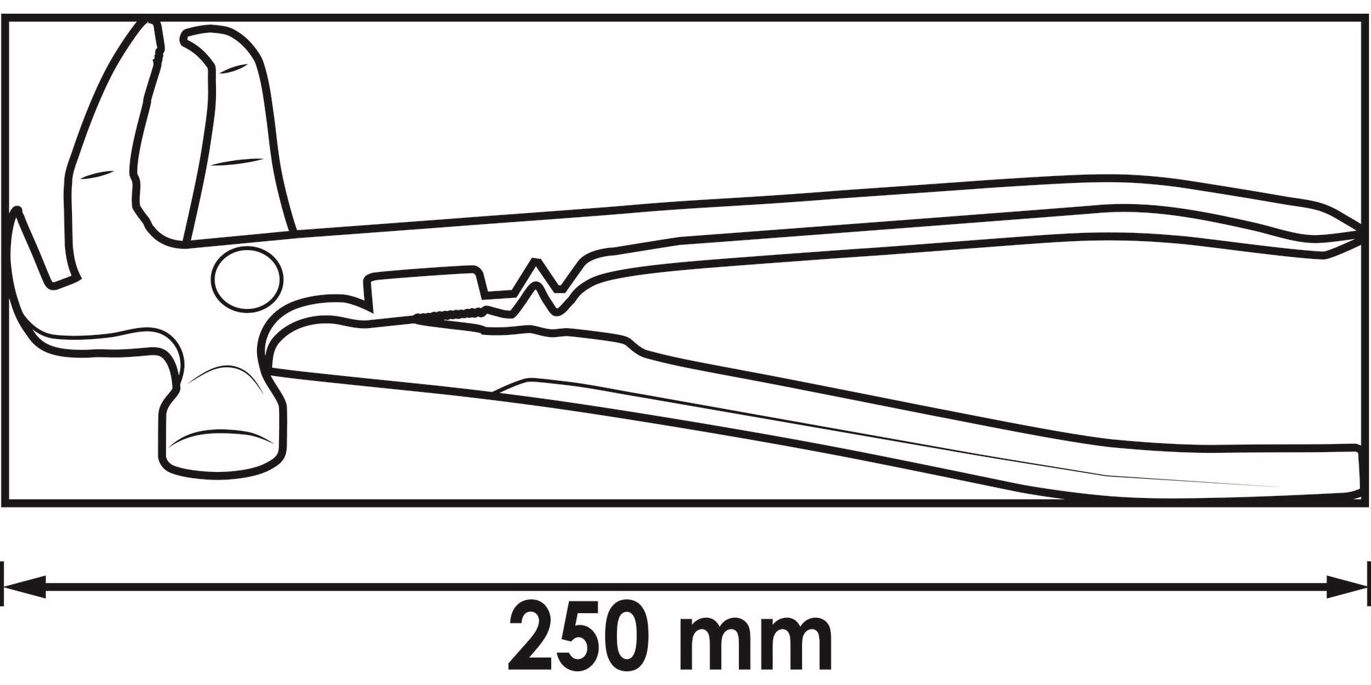 V1657