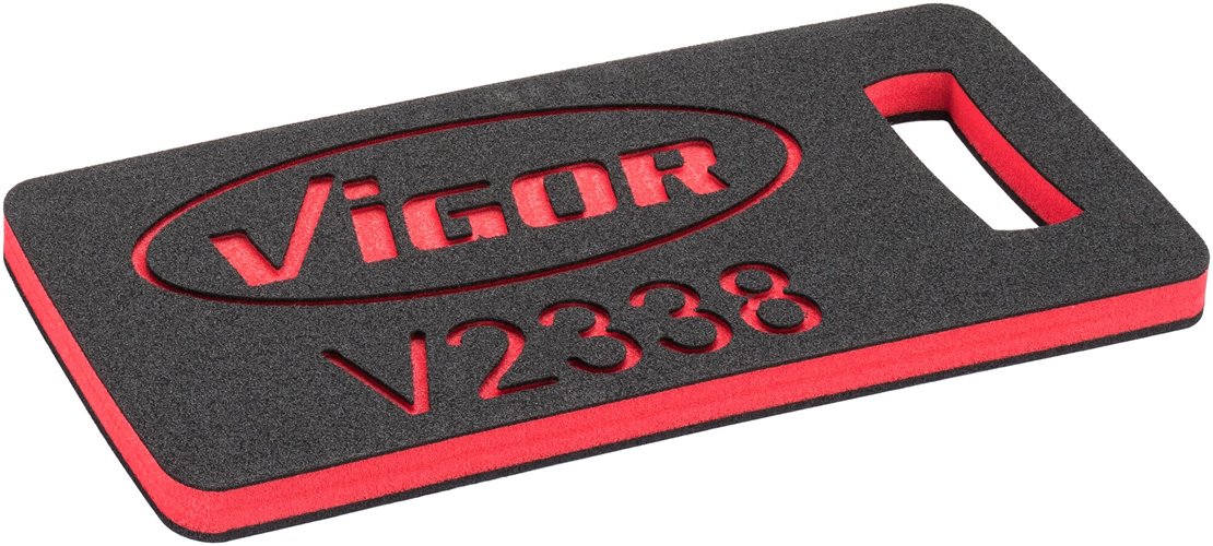 V2338