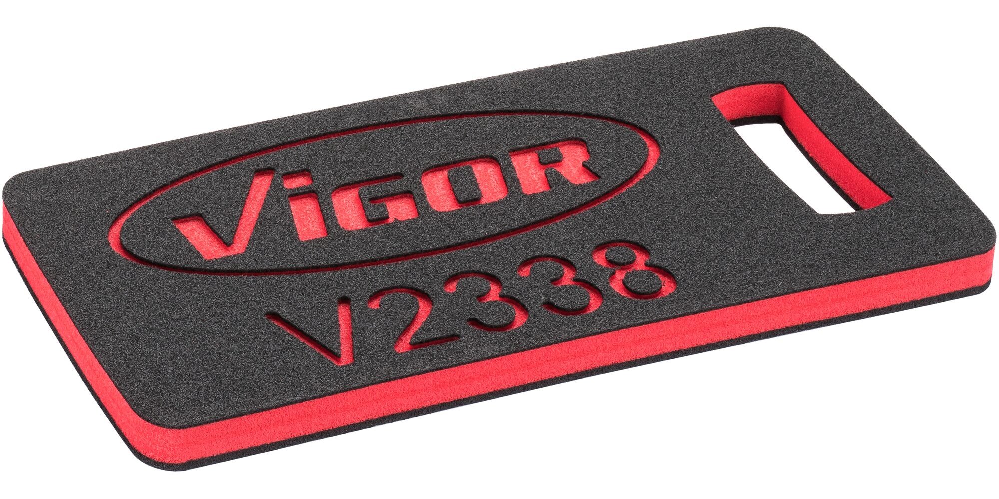 V2338
