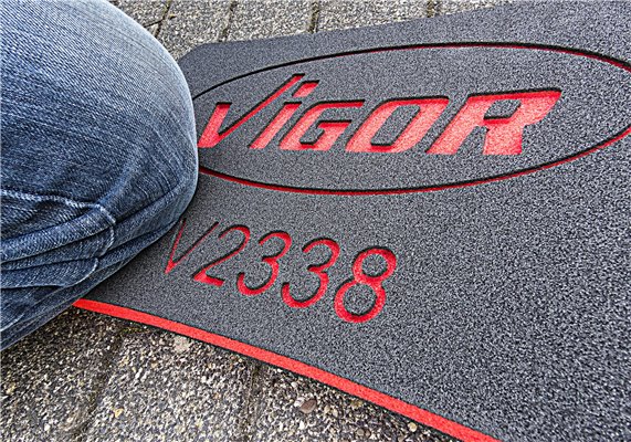 V2338